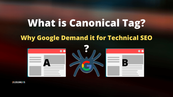 What is canonical tag or canonicalization in technical seo