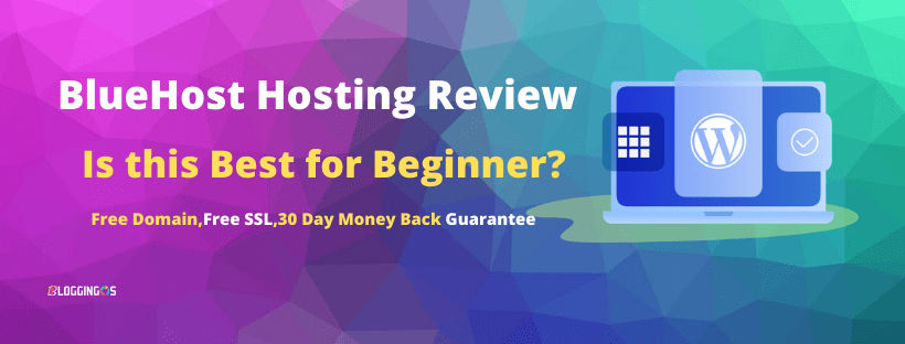 BlueHost Hosting Review