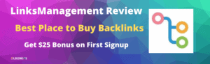 Linksmanagement Review